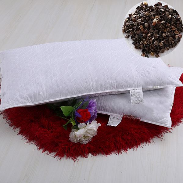 Buckwheat Pillow